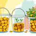 Use buckets to manage time-based financial needs
